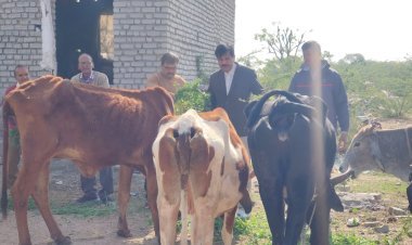 श्री माधव गौ उपचार केन्द्र पर परिषद द्वारा चारा व आर्थिक सहयोग प्रदान किया गया! 