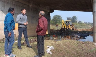 जिला कलक्टर ने किया जयसमंद नहर की साफ सफाई कार्य का निरीक्षण