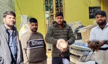 घायल पक्षियों का किया उपचार 