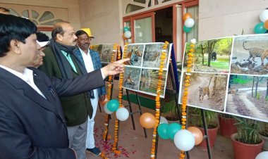 Colorful programs on Sawai Madhopur Foundation Day
