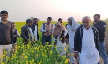 क्षेत्र के दर्जन भर गांव में एसडीएम व उपप्रधान ने खेतों में जाकर फसल खराबे का किया निरीक्षण 