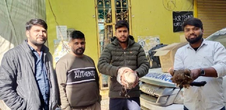 घायल पक्षियों का किया उपचार 