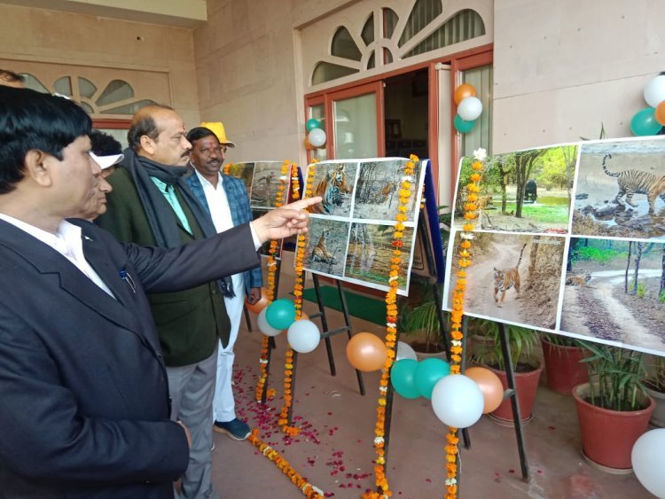 Colorful programs on Sawai Madhopur Foundation Day