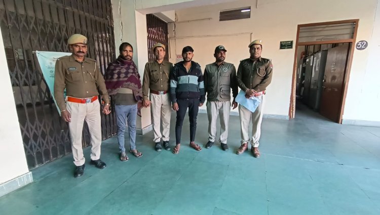 न्यायालय ने राष्ट्रीय पक्षी मोर के दो शिकारियों को सुनाई सजा