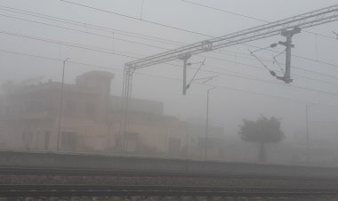 धुंध में लिपटा शहर 