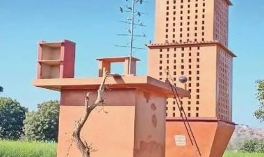 ये खूबसूरत 4 मंजिला इमारत है 5 हजार पक्षियों का घर, इसमें चुग्गा और पानी की सुविधा भी