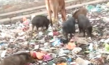 गन्दगी के आगोश में जन-जन की आस्था का केंद्र विंध्यवासिनी शक्तिपीठ