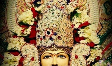 इस बार बाबा श्याम मेले में दिव्यांगज और वृद्धजन नि:शुल्क ऑनलाइन पंजीकरण करके कर सकेंगे सुगम दर्शन - जिला कलेक्टर 