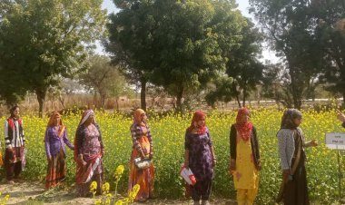 कृषि विज्ञान केंद्र में प्रशिक्षण के दौरान महिलाओं को दी बाजरा को बढ़ावा देने का प्रशिक्षण, डॉक्टर बोले बाजरा खाने से बीमारियां होती है दूर