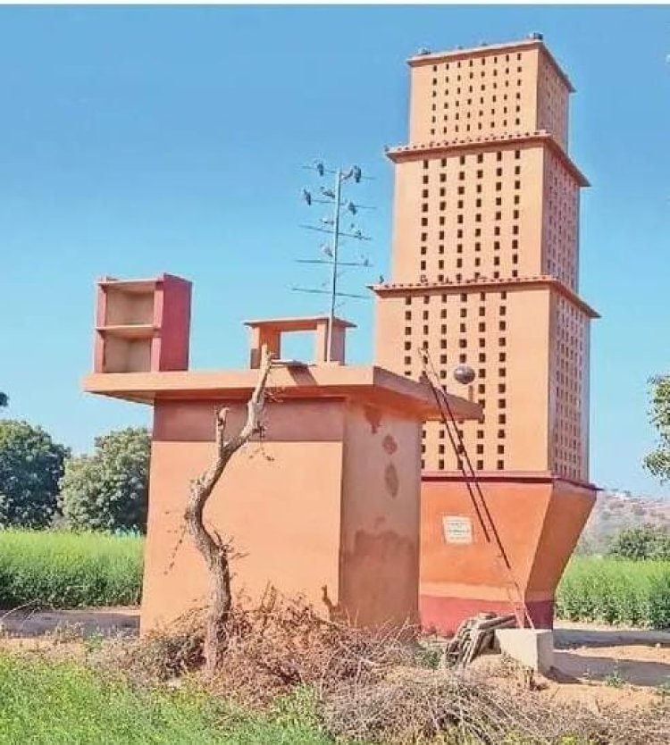 ये खूबसूरत 4 मंजिला इमारत है 5 हजार पक्षियों का घर, इसमें चुग्गा और पानी की सुविधा भी