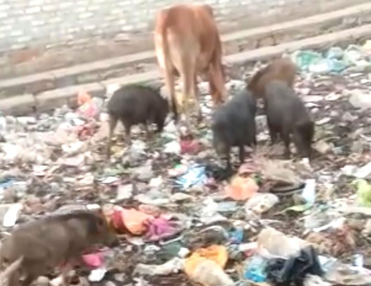 गन्दगी के आगोश में जन-जन की आस्था का केंद्र विंध्यवासिनी शक्तिपीठ
