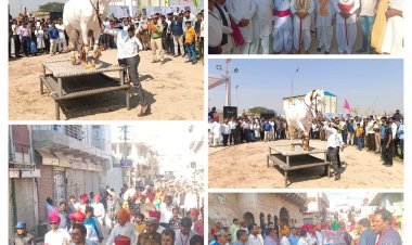 शेखावाटी उत्सव के दूसरें दिन हेरिटेज वॉक सहित मनोरंजन एवं खेलकूद प्रतियोगिताएं आयोजित