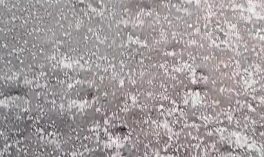 क्षेत्र में 10 मिनट तक हुई ओलावृष्टि, आधे घंटे तक चला बारिश का दौर, किसानों की फसलों को पहुंचा नुकसान, कालूसर स्कूल भवन में आया बरसाती पानी