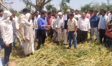 जिला कलक्टर ने ओलावृष्टि एवं अतिवृष्टि प्रभावित एक दर्जन से अधिक गांवों का दौरा कर फसल खराबे का लिया जायजा 