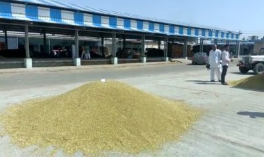 कृषि मंडी में समर्थन मूल्य पर सरसों, चने का खरीद केंद्र शुरू नहीं होने पर किसानों का हो रहा है नुकसान