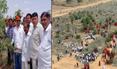 वर्ल्ड रिकॉर्ड जानने आई टीम ने दिया प्रोविजनल सर्टिफिकेट 