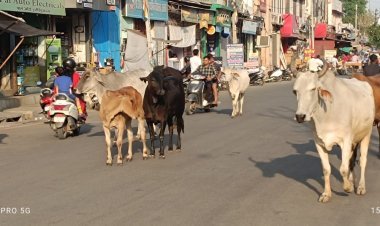 आखिर कब सार्थक होगी ये समीक्षात्मक बैठक: