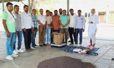 चना व सरसों की खरीद हुई शुरू