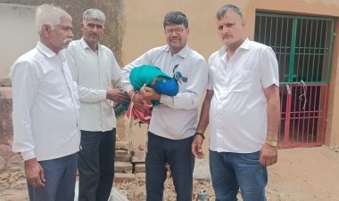 पार्षद उमेश चूलेट ने घायल मोर को पहुंचाया वन विभाग