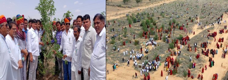 वर्ल्ड रिकॉर्ड जानने आई टीम ने दिया प्रोविजनल सर्टिफिकेट 