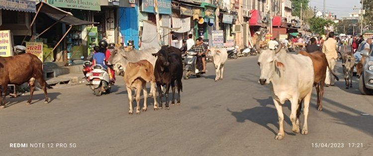 आखिर कब सार्थक होगी ये समीक्षात्मक बैठक: