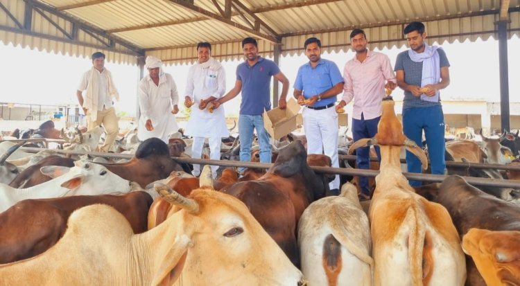गौ माता की सेवा करना हर सनातनी का कर्तव्य है - मोहित यादव