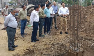 जिला कलक्टर ने किया शहर के विकास एवं सौन्दर्यकरण कार्यों का निरीक्षण 