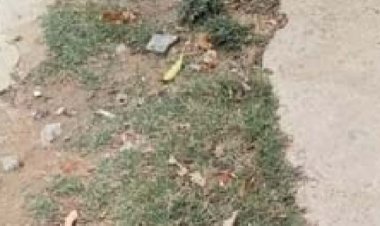 खैरथल कस्बे में पेयजल के लिए खोदी गई सड़कों का नहीं हुआ अभी तक निर्माण