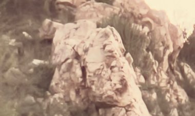 गर्मी में प्यास के कारण आबादी निकट आया पैंथर