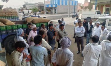 कृषि उपज मंडी में सरसों व चने की तुलाई एक बार फिर विवादों में, घटिया सरसों बताकर पैसे लेने के पहले आ चूके मामले सामने, क्रय विक्रय सहकारी समिति चेयरमैन ने कहा करवाएंगे जांच