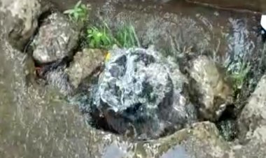 लापरवाही:कहीं व्यर्थ  बह रहा पानी तो कहीं बून्द-बून्द को तरस रहे  लोग