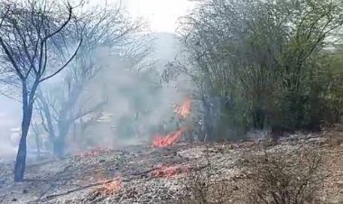 ग्रामीणों के सहयोग से प्रशासन ने आग पर काबू पाया 