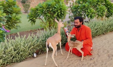 तीन साल पहले एक पौधा लगाकर रखी जसनाथ आसन दुधवा की नींव,अब मंहत पढा़ रहे हैं पशु पक्षियों को धर्म का पाठ  तीन साल पुर्ण पर  जसनाथ आसन दुधवा में होगें विभिन्न कार्यक्रम