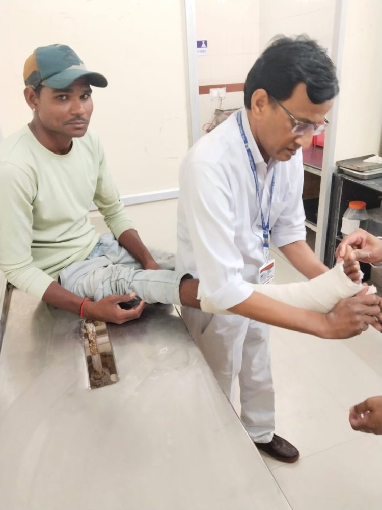 दया व सेवा की प्रती पूर्ति फ्लोरेंस नाईटिगेल "द लेडी विद द लेप" के नाम से है प्रसिद्ध