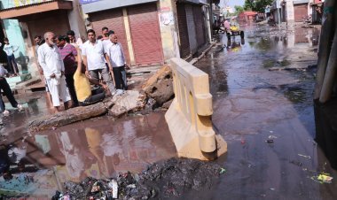 सुभाष चैक में गंदे पानी की निकासी की समस्या को लेकर भाजपा कार्यकर्ताओं ने दिया धरना कलक्टर को दिया ज्ञापन
