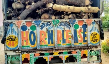 अवैध वन उपज परिवहन पर वन विभाग ने दो पिकअप  की जप्त , दोनों चालक हुए फरार