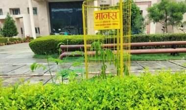 हम प्रयास करें तो शहर को पूरी तरह हरा-भरा बना सकते हैं - ट्रस्टी मंजू चौधरी अग्रवाल