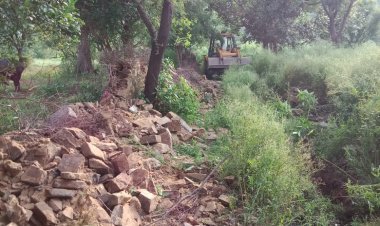 चारागाह भूमि को अतिक्रमण मुक्त करवाया गया