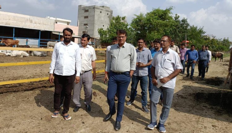 जिला कलक्टर ने कांजी हाउस का निरीक्षण कर व्यवस्थाओं को दुरूस्त करनें के दिए निर्देश प्रभावित गोवंश को कांजी हाउस के दूसरे पार्ट में शिफ्ट कराए