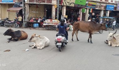 देखते हैं कोई हमारा क्या बिगाड़ता है...