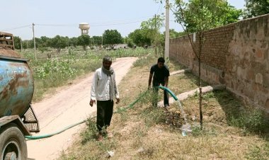 पेड़ों की सिंचाई के लिए आगे आए लोग