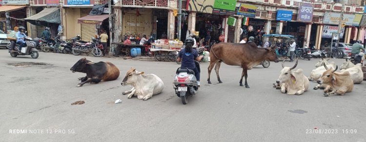 देखते हैं कोई हमारा क्या बिगाड़ता है...