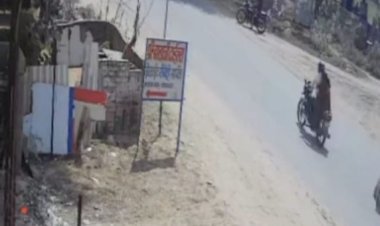 गुढ़ागौड जी में खेतों में घुसा पैंथर