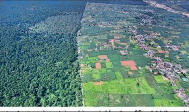 राजाजी नेशनल पार्क: इंसान-जानवर के बीच सामंजस्य, सोशल मीडिया से सुलझा टकराव