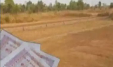 निकायों की आय बढ़ाने का नया फॉर्मूला: अब पुराने पट्टे 2.5 लाख तक में, पहले मिले थे 501 रुपये में