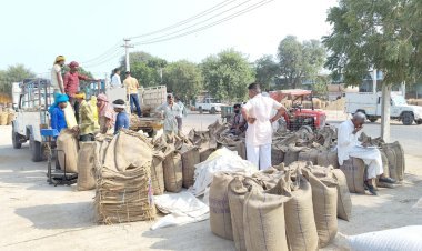 कृषि उपज मंडी में मूंग की खरीद शुरू, बाजार भाव से 1500 रूपए अधिक दे रही है सरकार