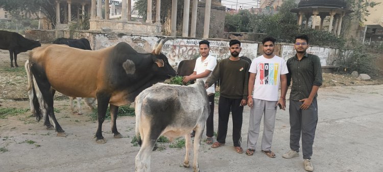 गायों को हरा चारा और अनाथ बच्चों को खाना खिलाया