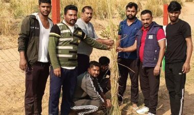 खेलता बढ़ता स्टेडियम में पौधों के पुले बांधकर सर्दी से बचाने का प्रयास 