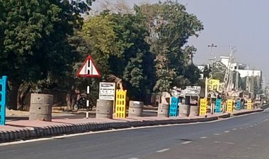 ट्री गार्ड्स से बढ़ा सालासर रोड़ का सौंदर्यीकरण