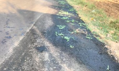 15 दिन पहले बनाई थी रोड, अब बन रहा है गार्डन 